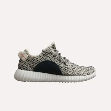 Adidas Yeezy Boost 350 Turtle Dove AQ4832 (6)